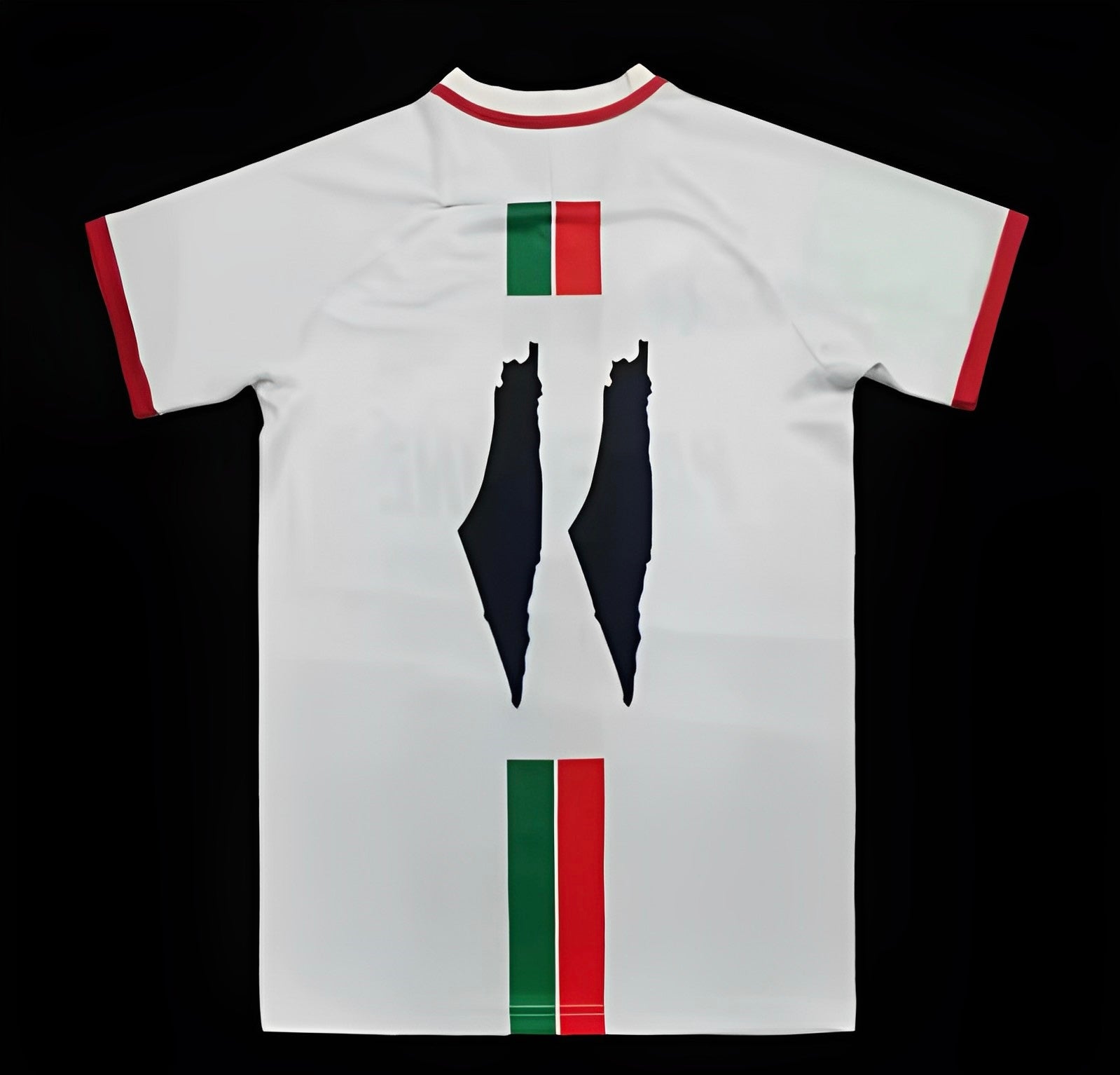 Palestine maillot Édition spéciale Blanc 2023 2024
